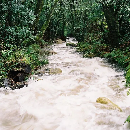 Budino De Serraseca *