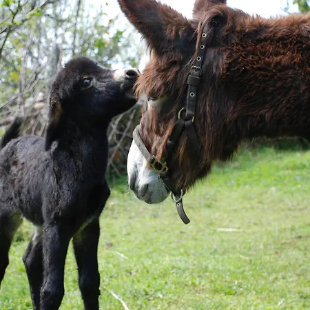 Landhaus Budino De Serraseca