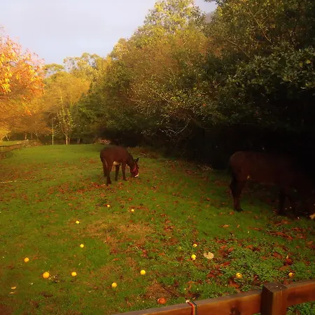 乡村民宿 Budino De Serraseca 奥亚