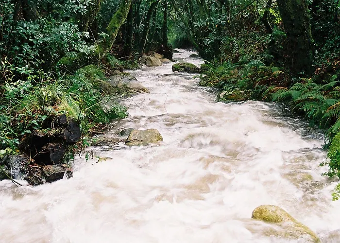 Budino De Serraseca *
