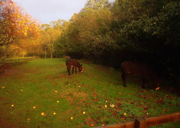 Landsted Budino De Serraseca Oia